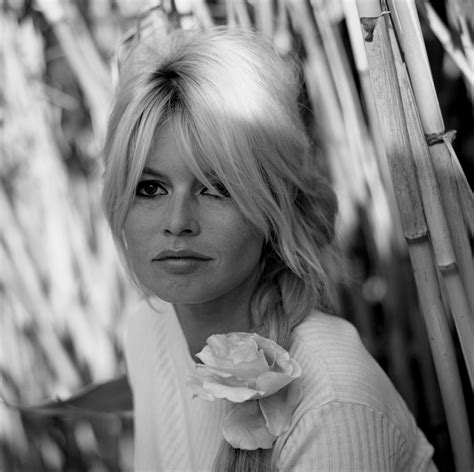 Pin on Bardot