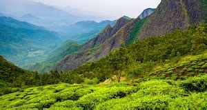 Top 13 things to do in Suryanelli (Updated May 2025)