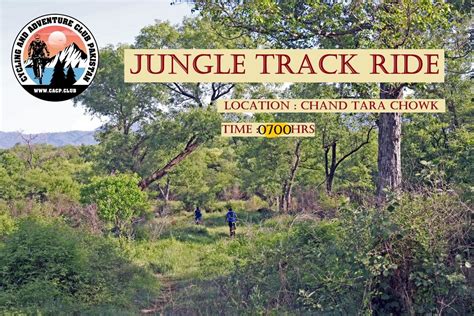 CDA Jungle Track, Pak China Friendship Centre Islamabad, 7 September ...