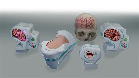 Image result for Paediatric Surgery Simulation Models