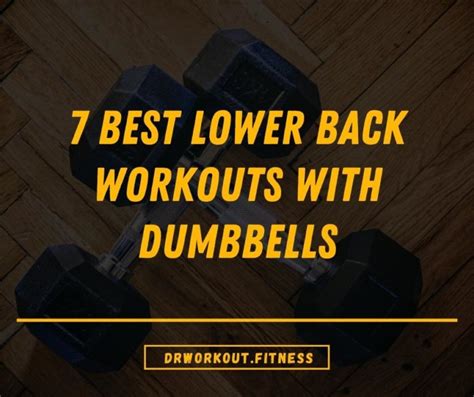 7 Best Lower Back Workouts with Dumbbells (with Pictures) | Dr Workout