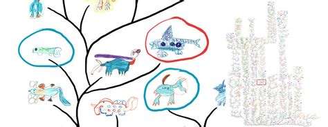 Image result for Evolution Animation