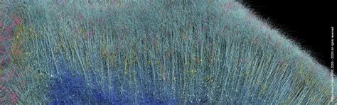 Exploring Blue Brain Project : The world's first artificial brain