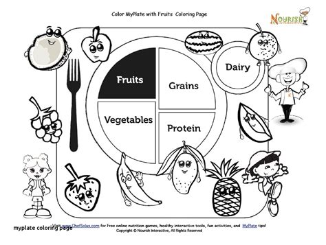 Image result for Colour Food Guide Plate