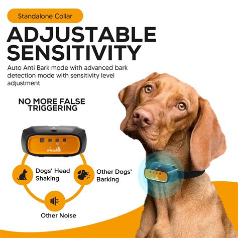 Citronella Spray No Shock Dog Training Collar with Remote – My Pet Command