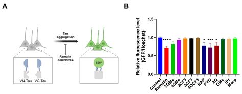 Synthesis and Biological Evaluation of Novel Ramalin Derivatives as ...
