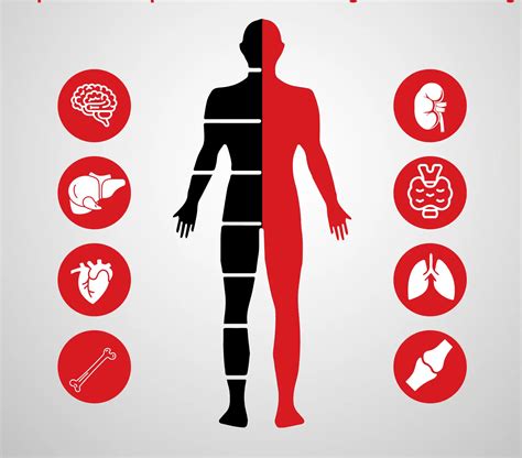 Best packages for full body health checkup - healthcarediagnostic