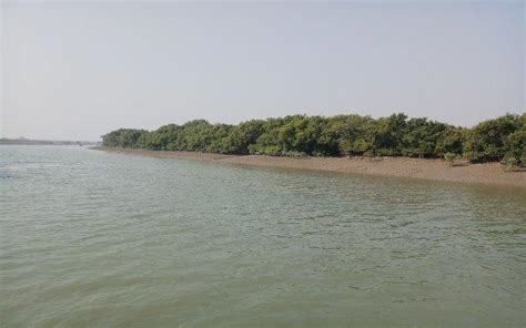 Beautiful Islands Of West Bengal | WhatsHot Kolkata