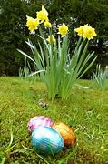 Image result for Big Chocolate Easter Bunny