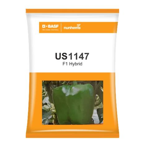 BASF nunhems US 1147 F1 Hybrid Sweet Pepper Seeds – Cultree India