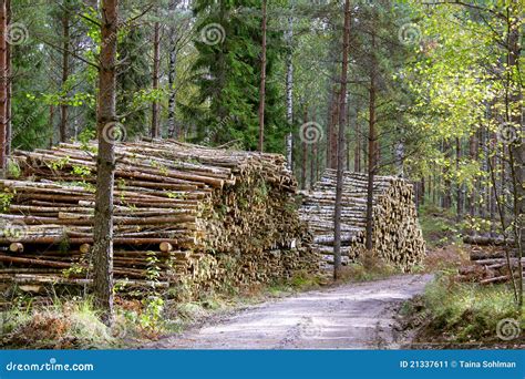Building a Logging Road 的图像结果