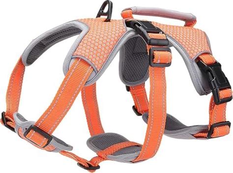 Buy BELPRO Multi-Use Support Dog Harness, Escape Proof No Pull ...