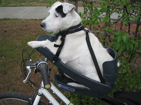 Buddy Rider - Dog Bike Seat — Premium European Urban Bicycles, Dutch ...