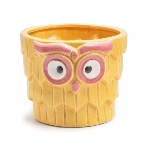 Chumbak Fluffy Owl Planter - Yellow : Amazon.in: Garden & Outdoors