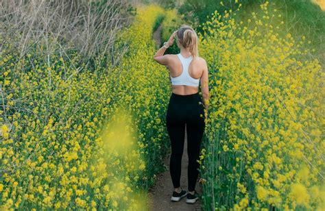 Image result for Spring PowerBar Workout Routine