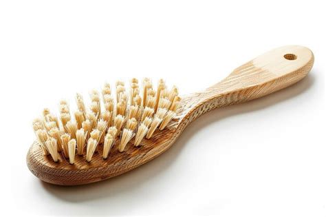 Image result for Tutorial Filbert Brush