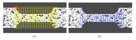 Local Disconective 的图像结果
