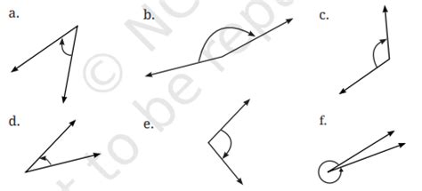 Maths Solutions Class 6 Ch 2 Lines and Angles Ganita Prakash