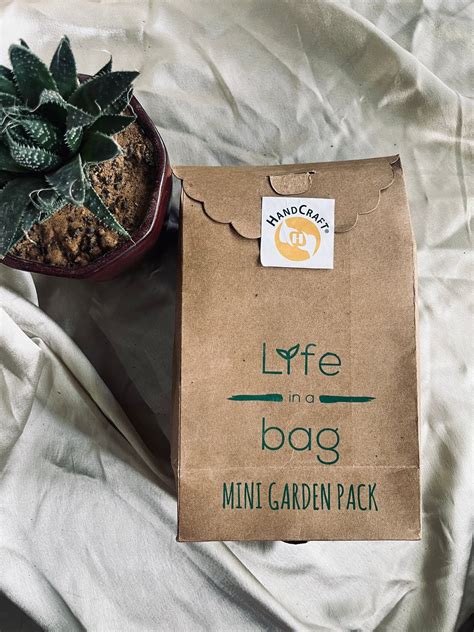 Mini Garden Pack DIY Kit – Florenzaa Design and Styling