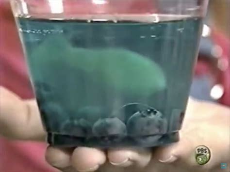 Zoom Episode 1 的图像结果