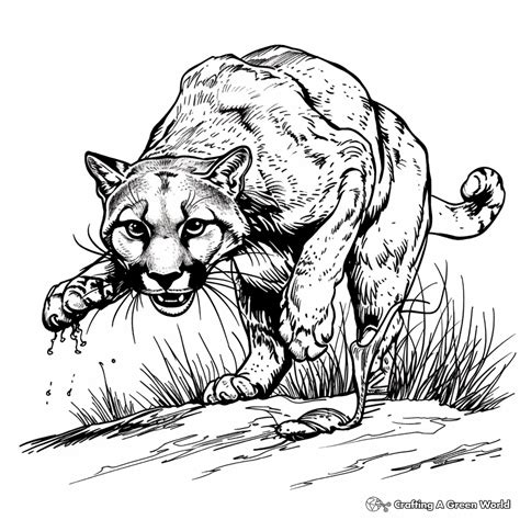 Cougar Coloring Pages - Free & Printable!