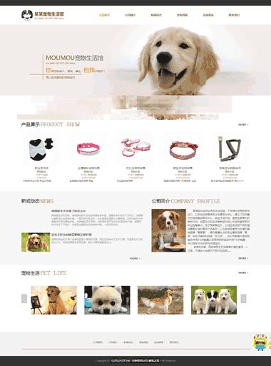 宠物用品网站模板-宠物生活馆网站-宠物网站制作-宠物用品商城-环宇网络