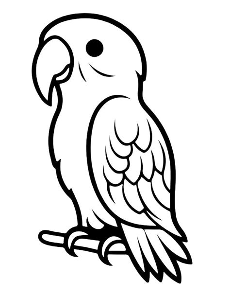 Image result for Parrot Coloring Pages