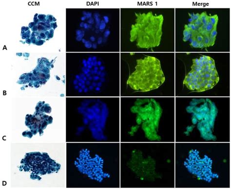 Diagnostics | An Open Access Journal from MDPI