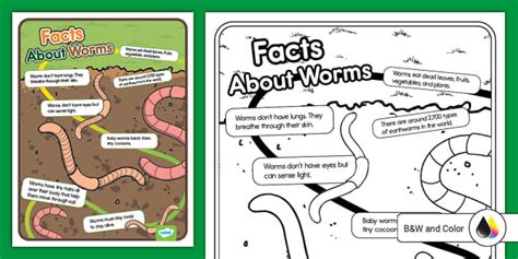 Facts About Worms Poster