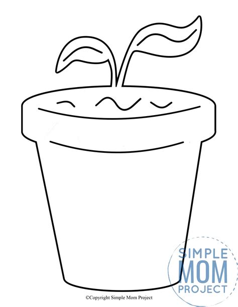 Flower Pot Template