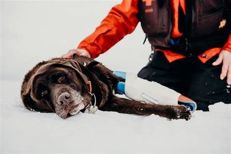 Image result for Sam Splint Vs Other Splints