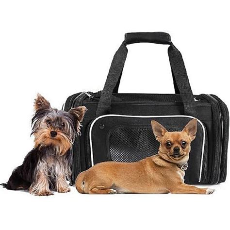 Amazon.in Bestsellers: The most popular items in Cat Soft-Sided Travel ...