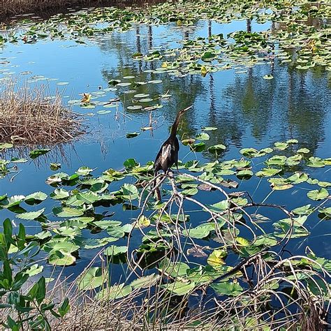 CHARLOTTE FLATWOODS ENVIRONMENTAL PARK (2026) All You Need to Know ...