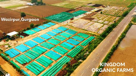 Kingdom Organic Farms