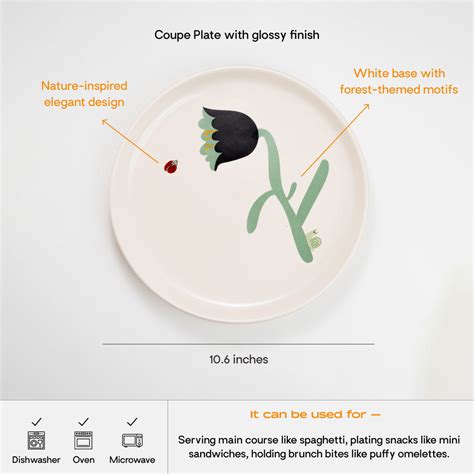 Frost Large Plate | 10.6 Inches | White Base – Lagavi