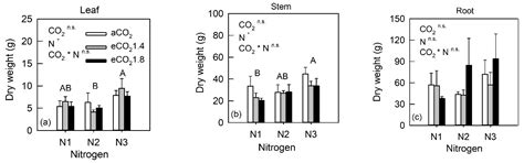Down-Regulation of Photosynthesis to Elevated CO2 and N Fertilization ...