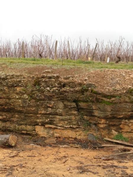 Nature du sol (sol sur roche sédimentaire, calcaire dur) – Audio guide ...