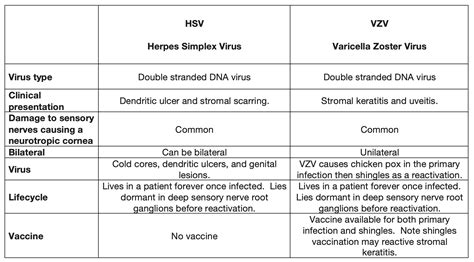 Herpes Simplex vs. Zoster Virus | Eye Infections & Differences — DR BRENDAN CRONIN OPHTHALMOLOGIST