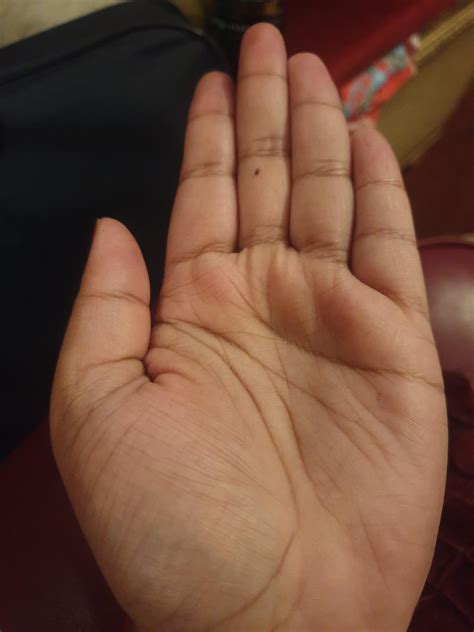 Left Mark On 的图像结果