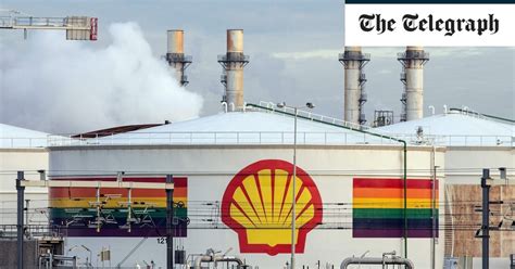 Is Shells an Example of Commodity Money 的图像结果