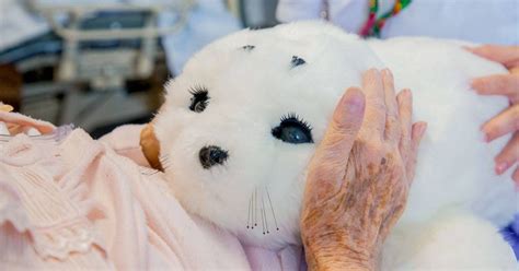 Latest Robotics Technology 的图像结果