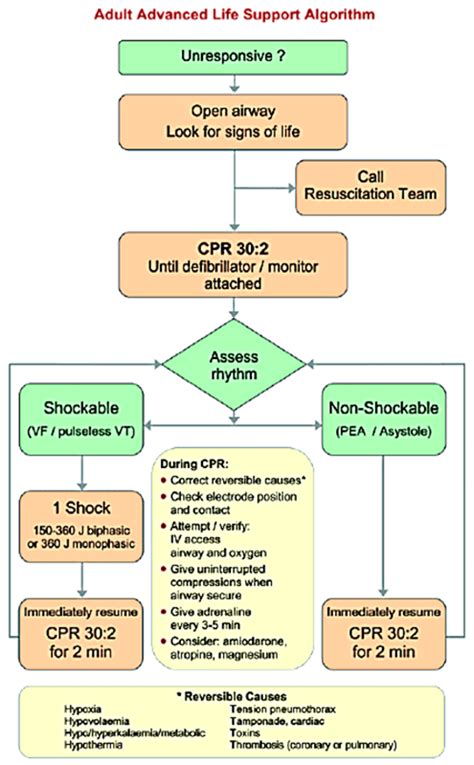 Advanced Trauma Life Support Algorithm 的图像结果