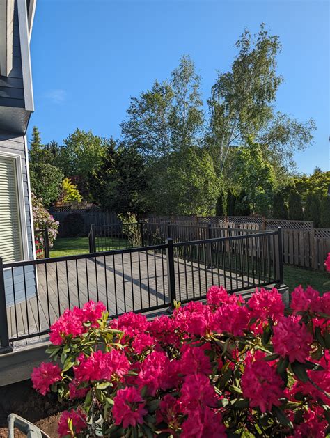 Image result for TimberTech Silver Maple