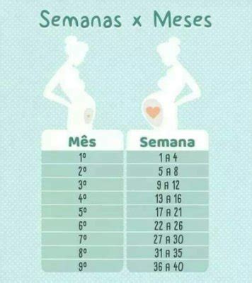 25 semanas são quantos meses ??? | BabyCenter