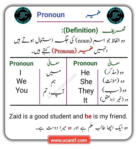 What Is Anatomy Definition In Urdu - Free Printable Worksheet