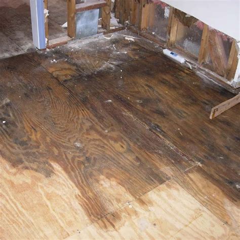 How To Fix Water Damage On Wood Floors (Step-by-Step Guide)