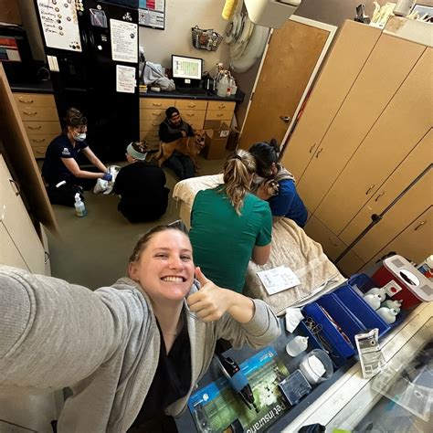 Silverado Veterinary Hospital Tour | Vet Clinic In Napa, CA