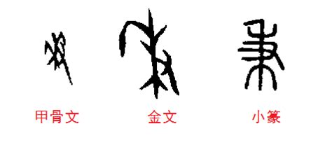 秉的笔顺 笔画数：8 拼音：bǐng 部首：禾 - 智慧山