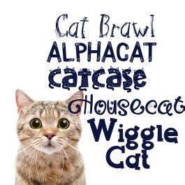 Image result for Fect Cache