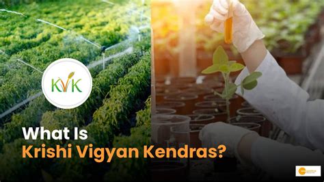 Krishi Vigyan Kendras: How It Works And Its Benefits